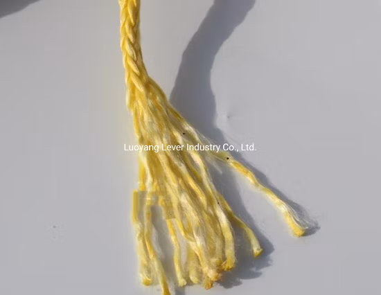 PP Rope/PE Rope/Polyester Rope/Nylon Rope/Hmwpe/UHMWPE/Hmpe Tow Winch Maine Mooring Towing Rope for Fishing Equipment