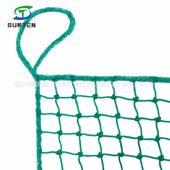 Blue PE Net/Fishing Net Cargo Net, Nylon Net